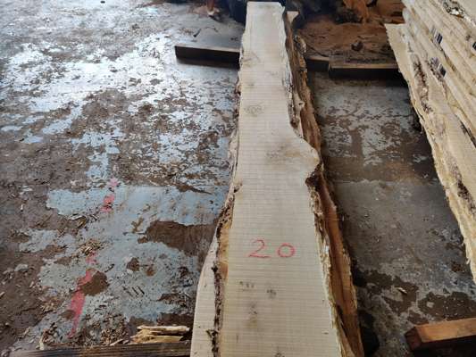 English Oak Live Edge Slab 2500mm Long x 230mm Ave Width x 25mm Thick - photo 1
