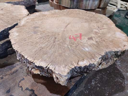 Heavily Burred English Oak Coffee Table Blanks Ave Width 650mm x 80mm Thick