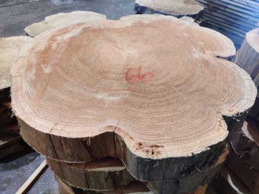 Western Red Cedar Coffee Table Blanks Ave Width 700mm x 90mm Thick - photo 1