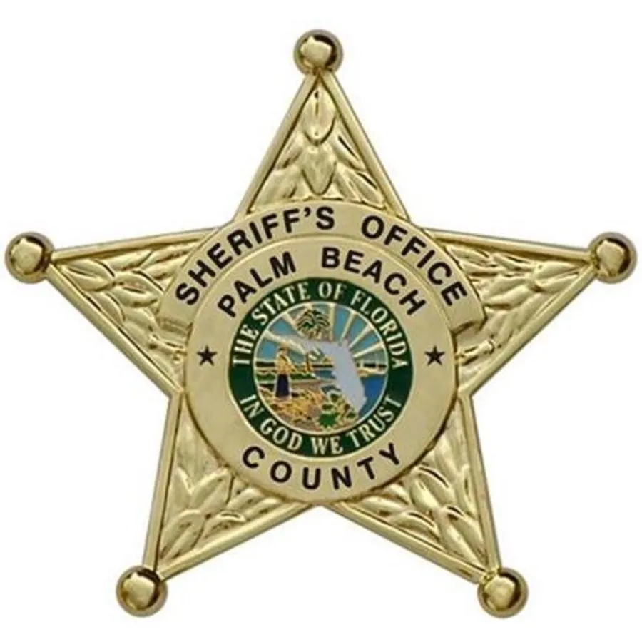 Palm Beach County, FL Sheriff Property Sale: 2020 RED TOYOTA RAV4 VIN: