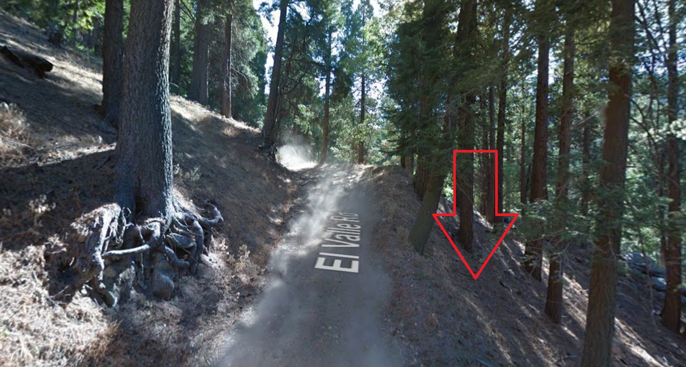 OWNER-FINANCED: Crestline, CA - Lot Near the Lake, $1 Down & as low as $133/mo. - photo 1