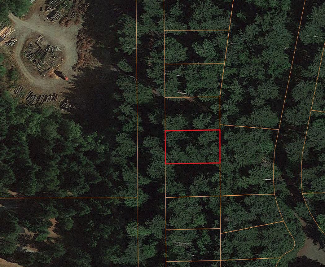 8715 Eckenstam Johnson Rd., Anderson Island, WA 98303 - photo 1