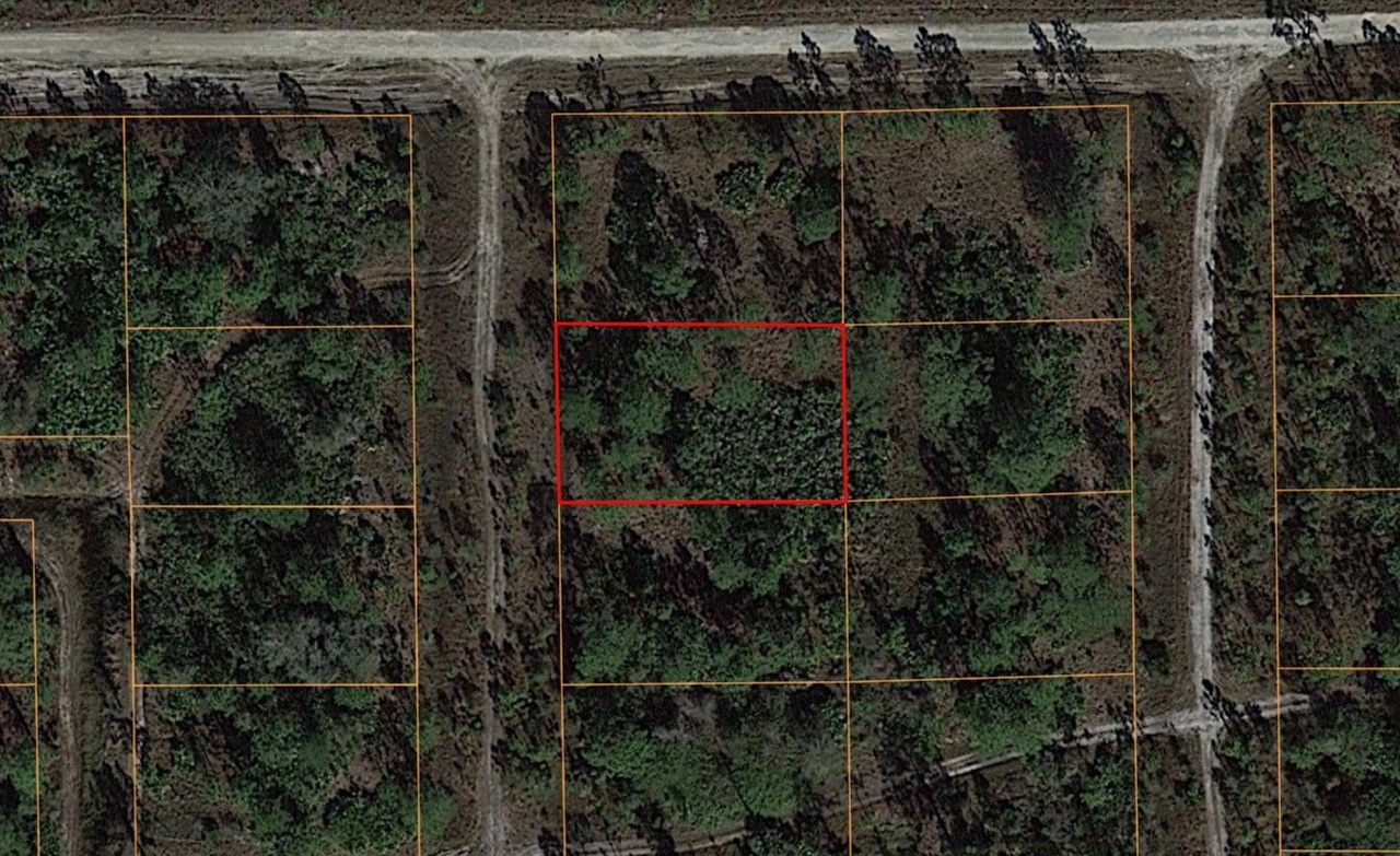 Residential Property in Undeveloped Lee County, FL - photo 1