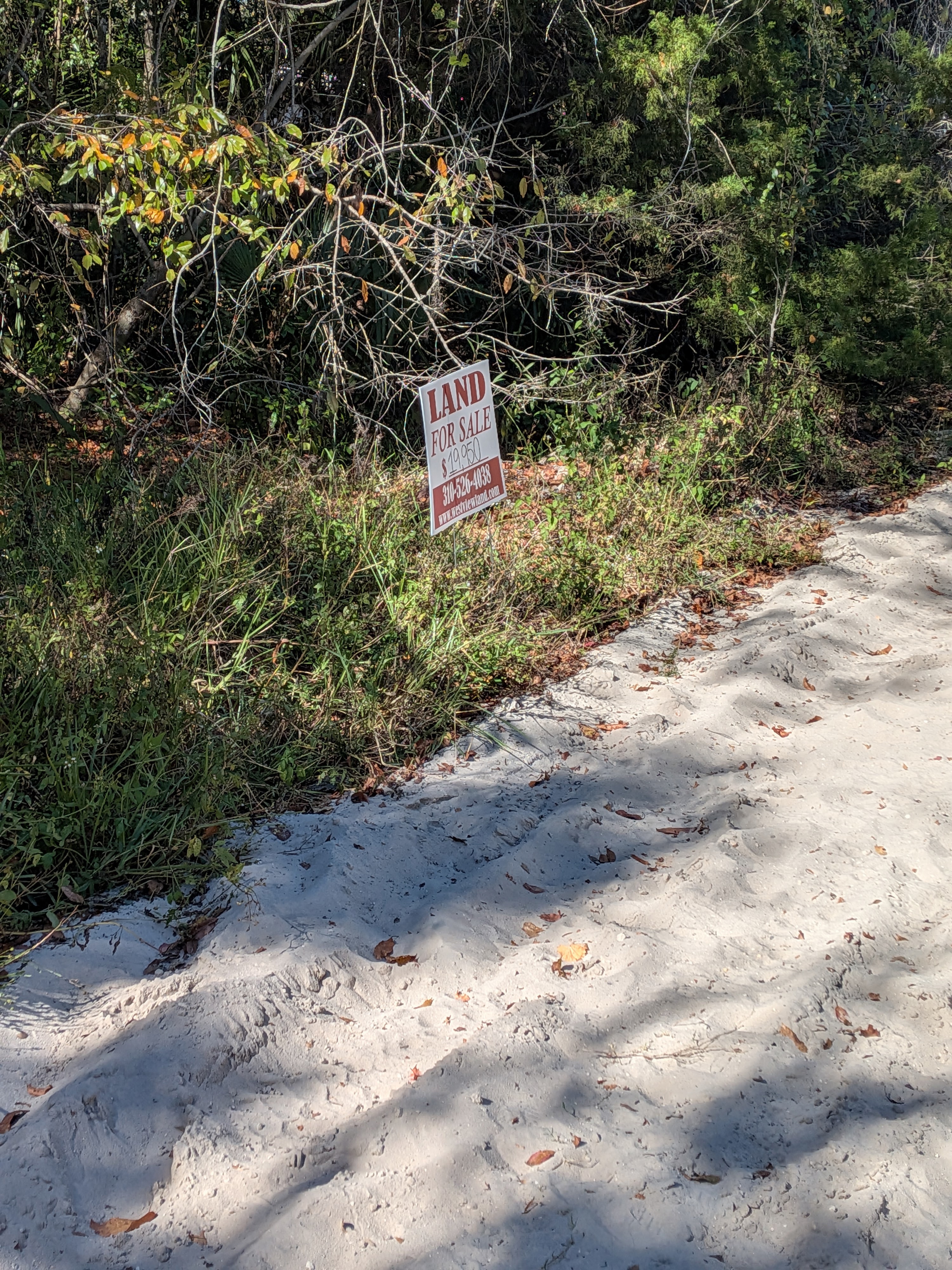Mixed Residential Vacant Lot Near Lake Weir in Summerfield, FL - photo 1