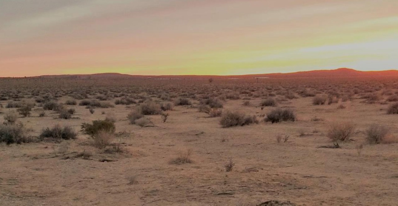 5 Scenic Acres For Sale In Adelanto, CA - photo 1