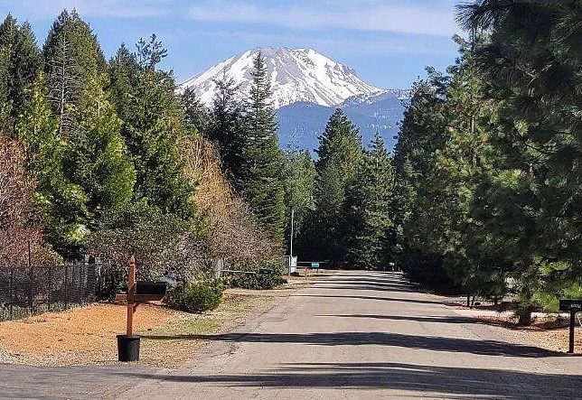 .51 Acres Of Residential Land For Sale In Shingletown, CA - photo 1