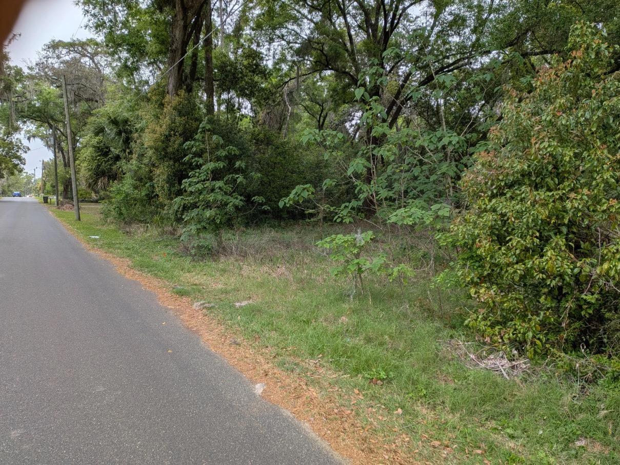 Vacant, Level, Wooded Residential Lot in Ocala, FL - photo 1