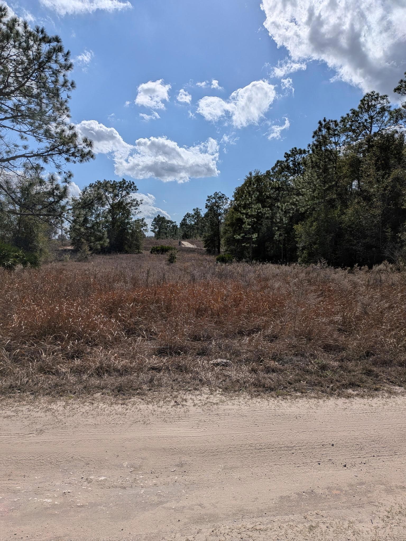 Vacant Corner Residential Lot in Ocala, FL with Adjoining Lot - photo 1