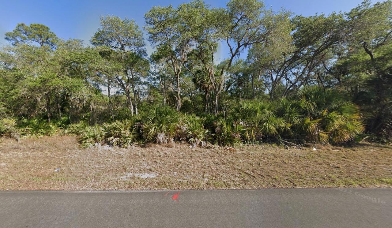 Buildable 10,000 Sq Ft. Residential Property In Port Charlotte, FL - photo 1