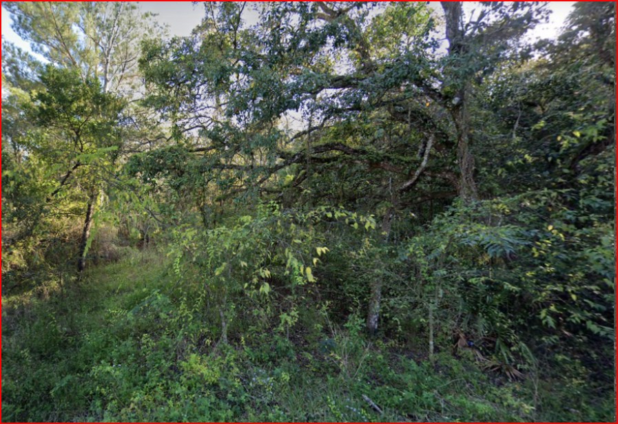 Vacant, Level Lot for Sale in Residential Hernando County - photo 1
