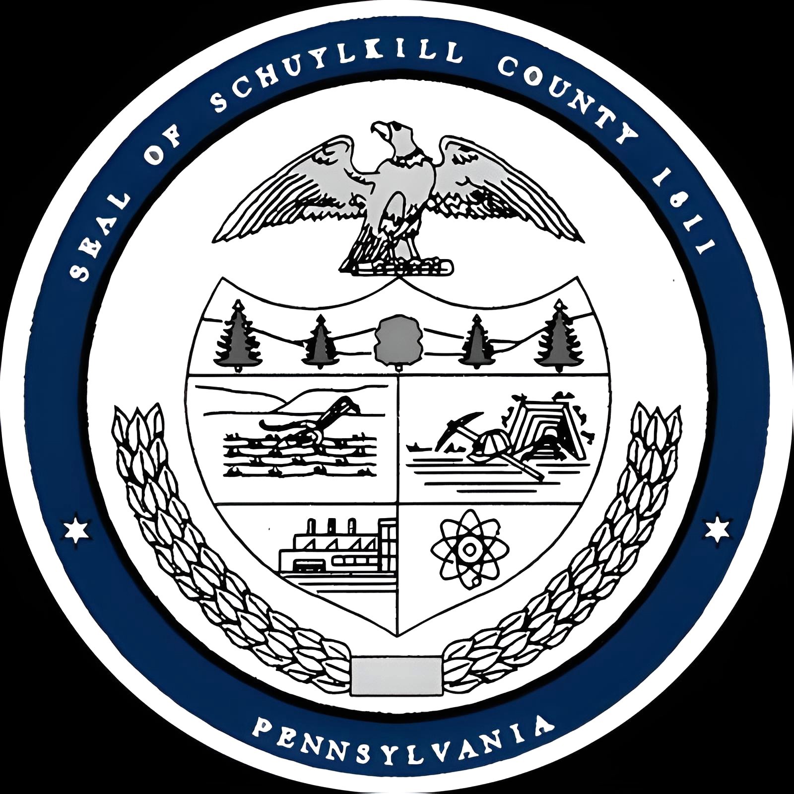 Schuylkill County, PA Tax Claim Bureau Judicial Sale - photo 1