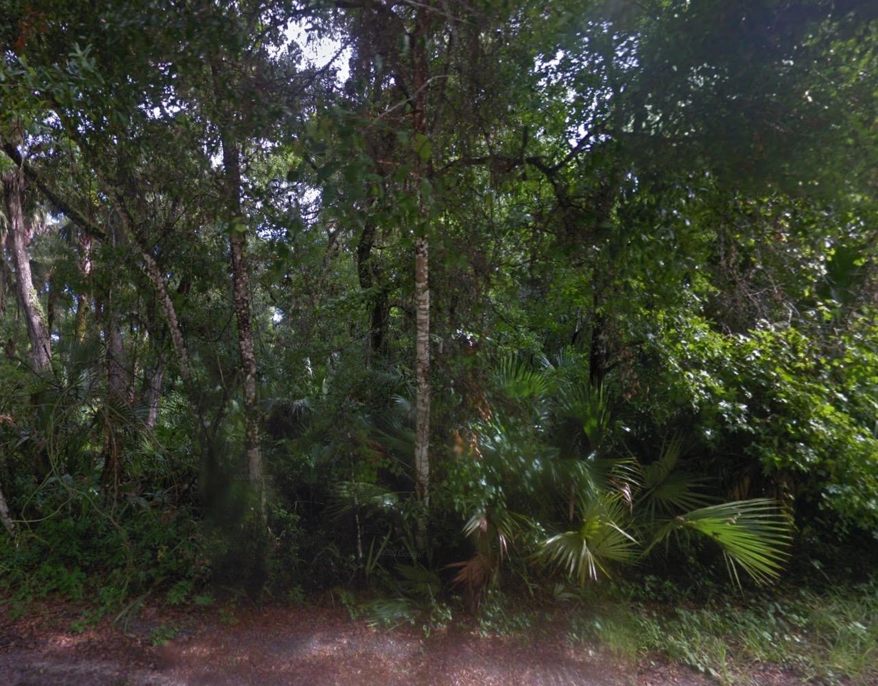 Corner, Residential Lot in Secluded Hernando, FL - photo 1