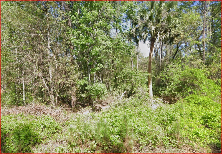 Undeveloped Residential Lot near Lake George, FL - photo 1