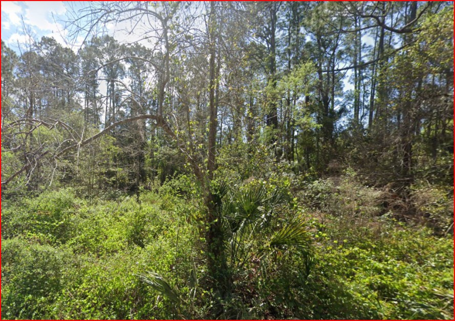 Residential, Undeveloped Lot near Lake in Georgetown, FL - photo 1