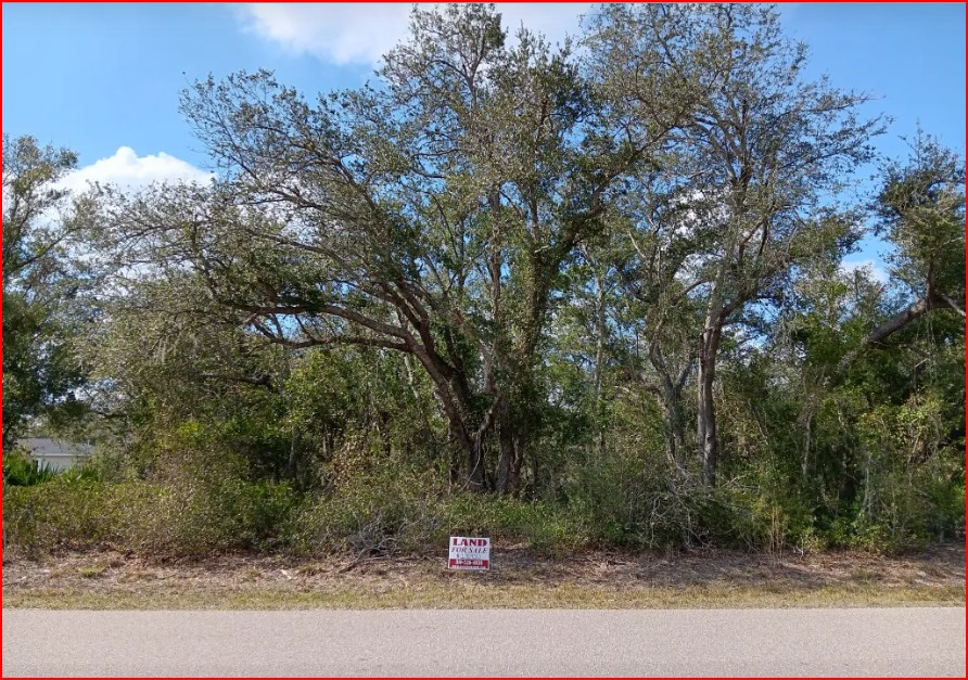 Undeveloped Single Family Residential Lot in Punta Gorda, FL - photo 1