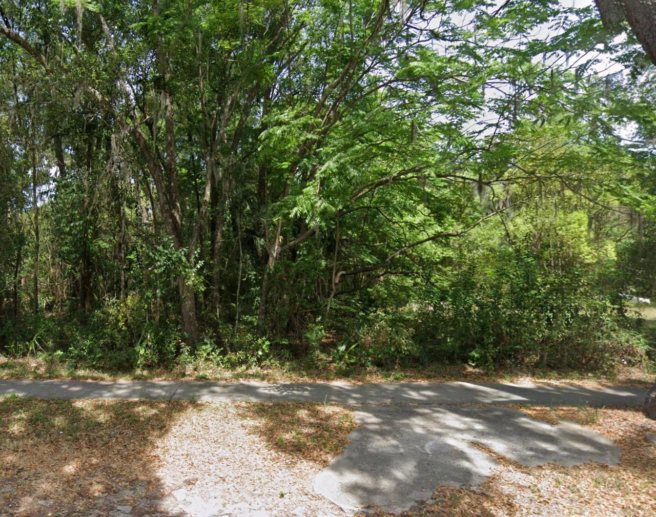 Residential, Undeveloped Lot in Deland, FL - photo 1