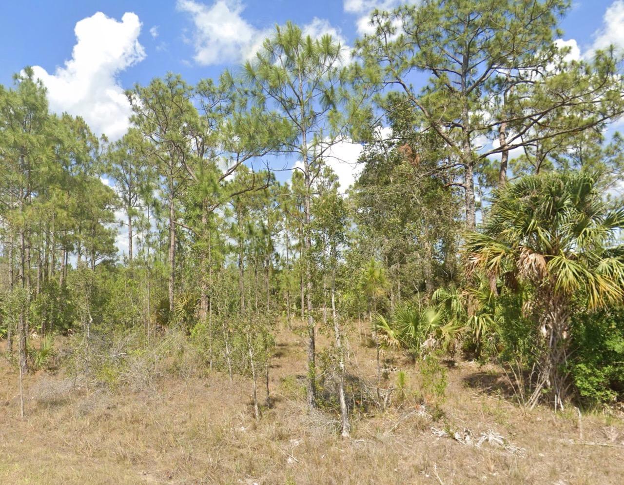 Nearly Half an Acre near Lehigh Acres - photo 1