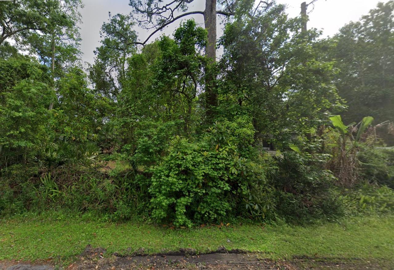 Vacant Residential Lot near St. John’s River in Astor, FL - photo 1