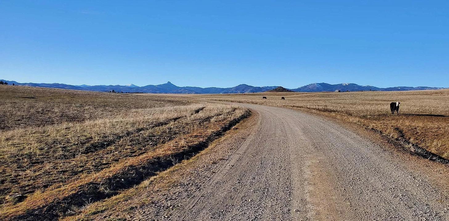 2.56 Acres For Sale In Scenic Iron Gate Estates! - photo 1