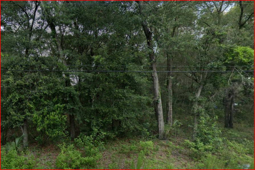 Residential Property in Inverness, FL - photo 1