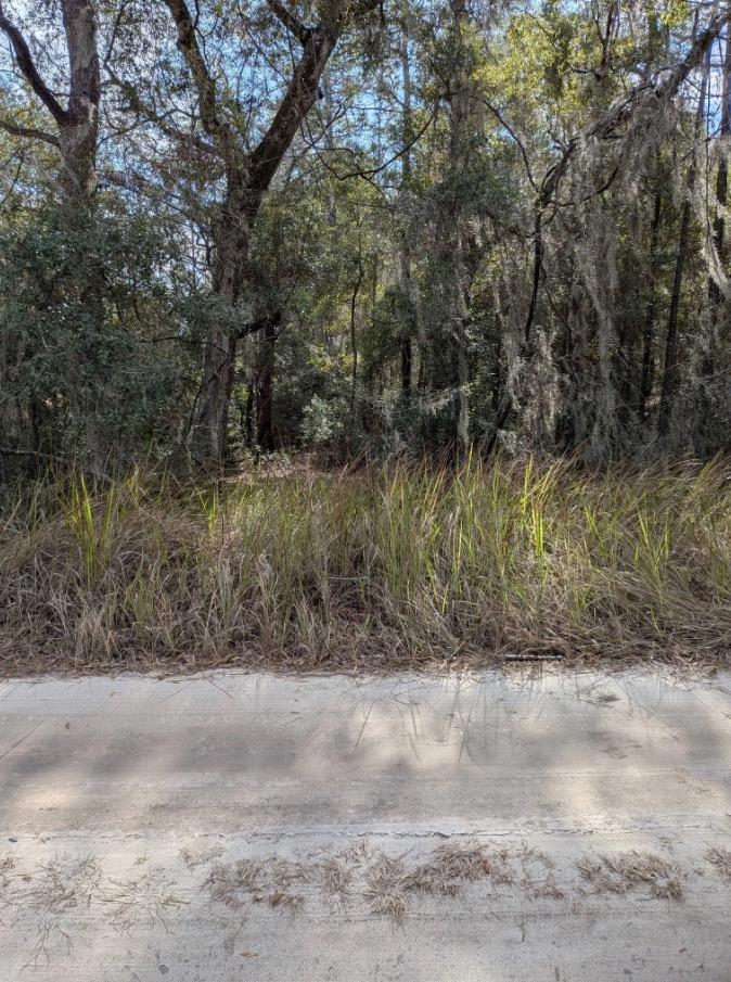 Vacant Residential Lot in Ocala, FL with Adjoining Corner Lot - photo 1