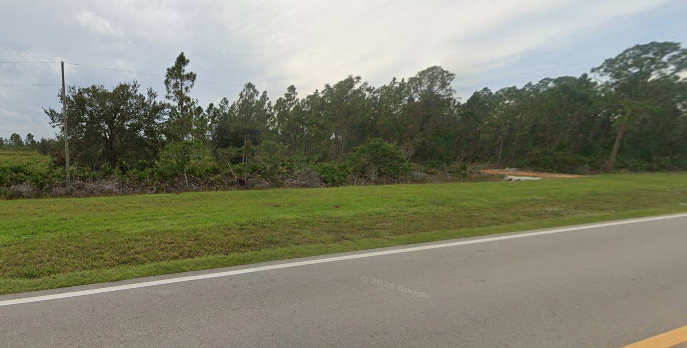 Central Florida Polk County ~ Single Lot ~ Owner Financing $1.00 Down - photo 1
