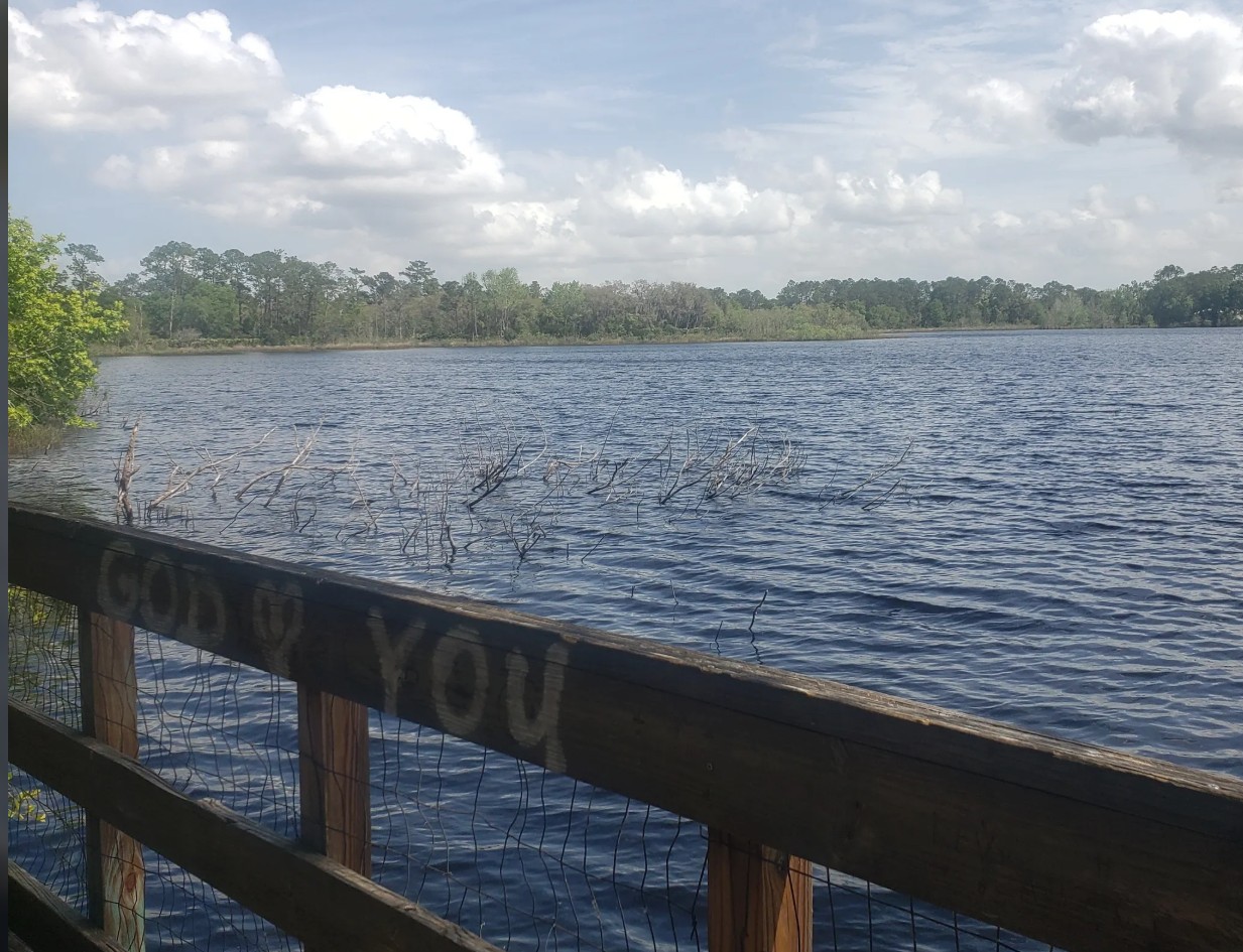 Near Many Lakes , Florida - 2 Adjoining Resident Lots ~ Owner Financing $1.00 Down - photo 1