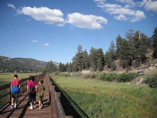 Mountain Resort, Resident Lot Near Big Bear, Water Skiing Owner Financing $1.00 Down - photo 1
