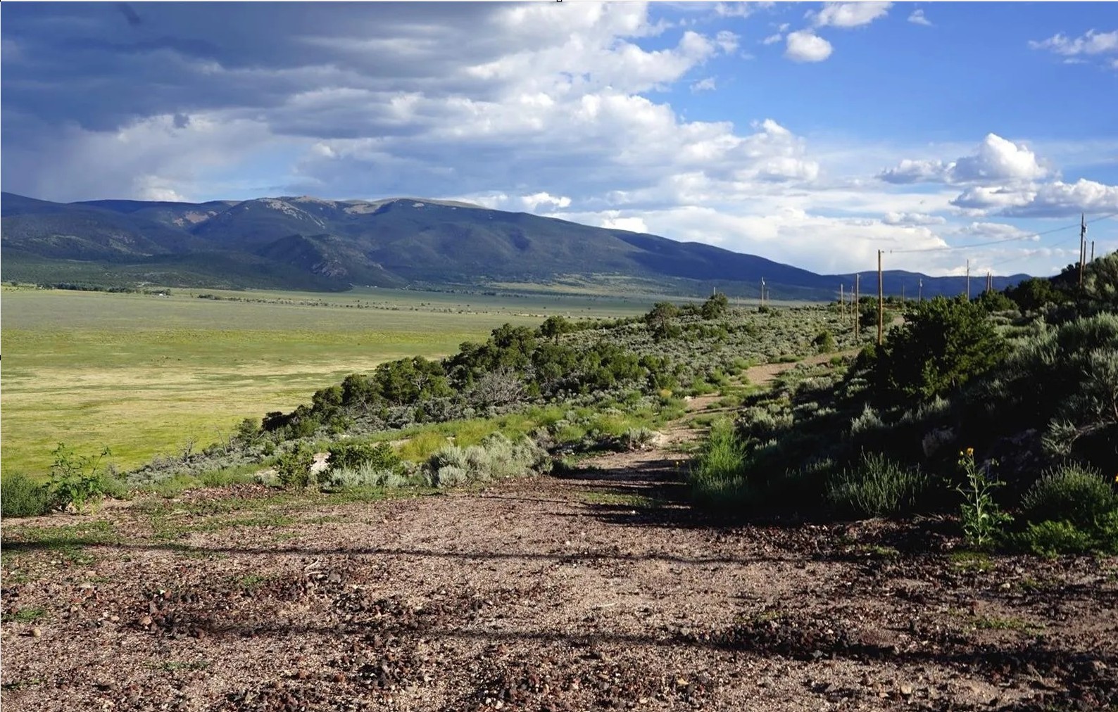 Colorado Land for Sale- 2.56 Acres-Wild Horse Mesa-Mountain Views - Owner Financing $1.00 Down - photo 1