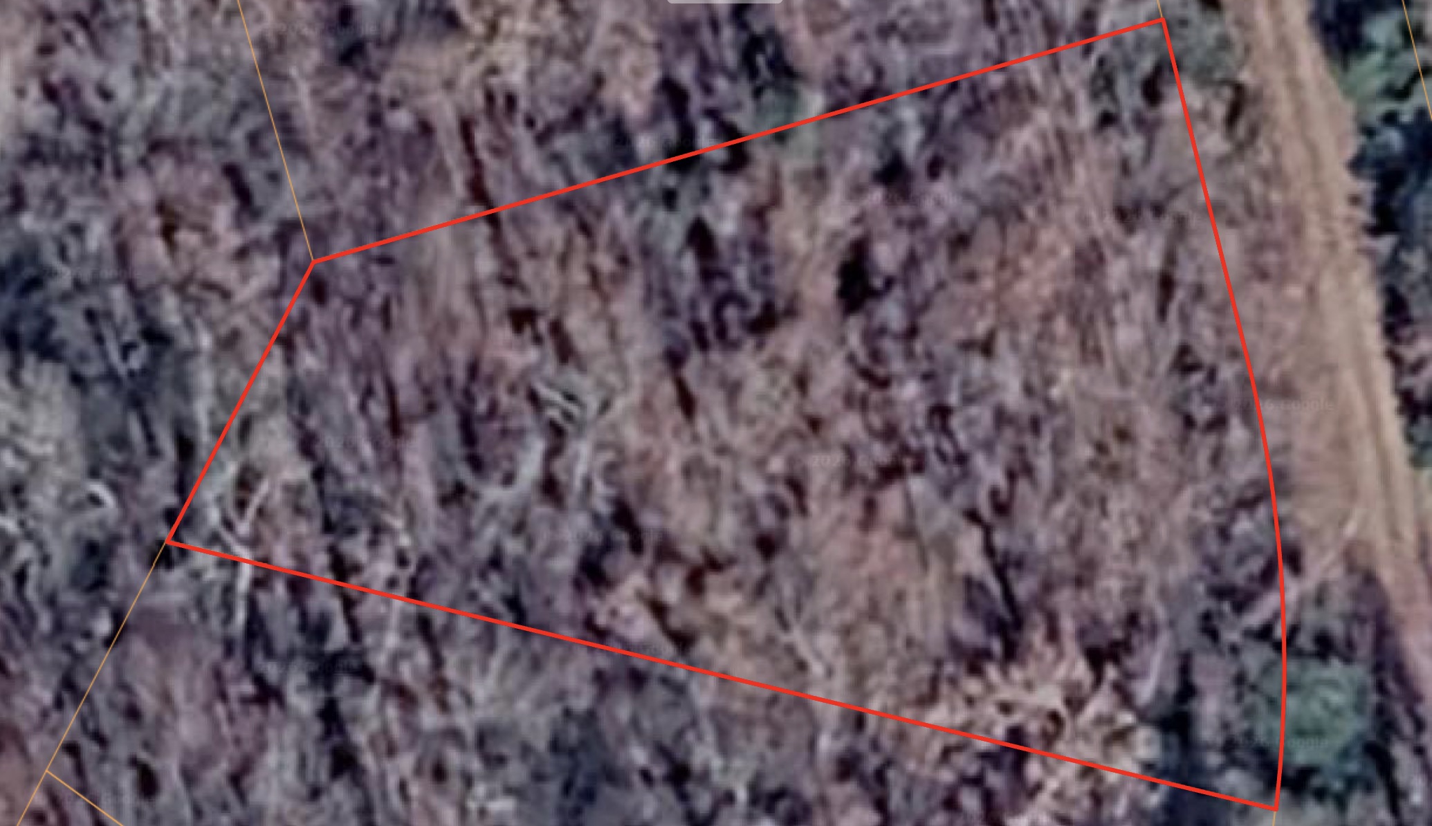 Horseshoe Bend - 0.35acre lot very close to Diamond Lake - photo 1
