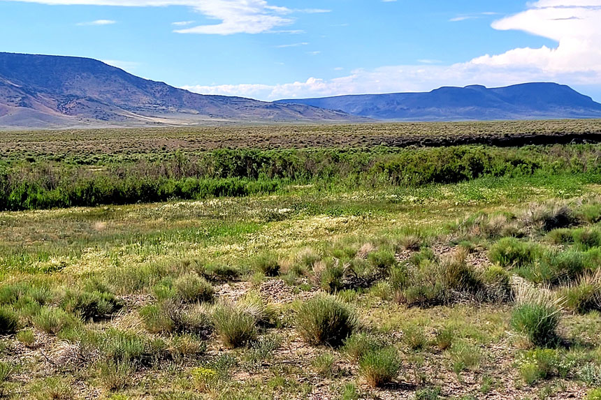 CO, Costilla County, 0.25 Acres Rio Grande River Lot 951 Unit 1.Terms $52/Month. - photo 1
