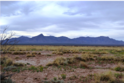 New Mexico, Luna County, Sunshine Valley Ranchettes, 1 Acre Lot 7 and 8 Unit 1. TERMS $30/Month - photo 1