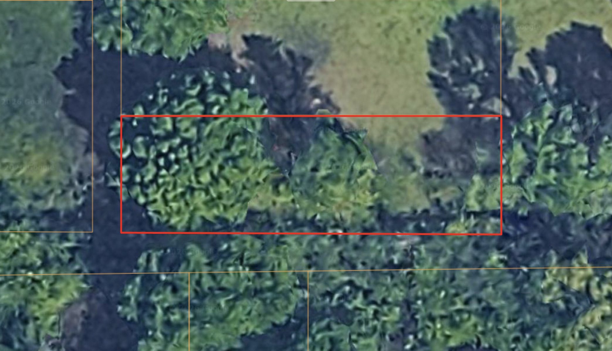 Pine Bluff, AR- 0.12acre Residential Lot near the local University of Arkansas - photo 1