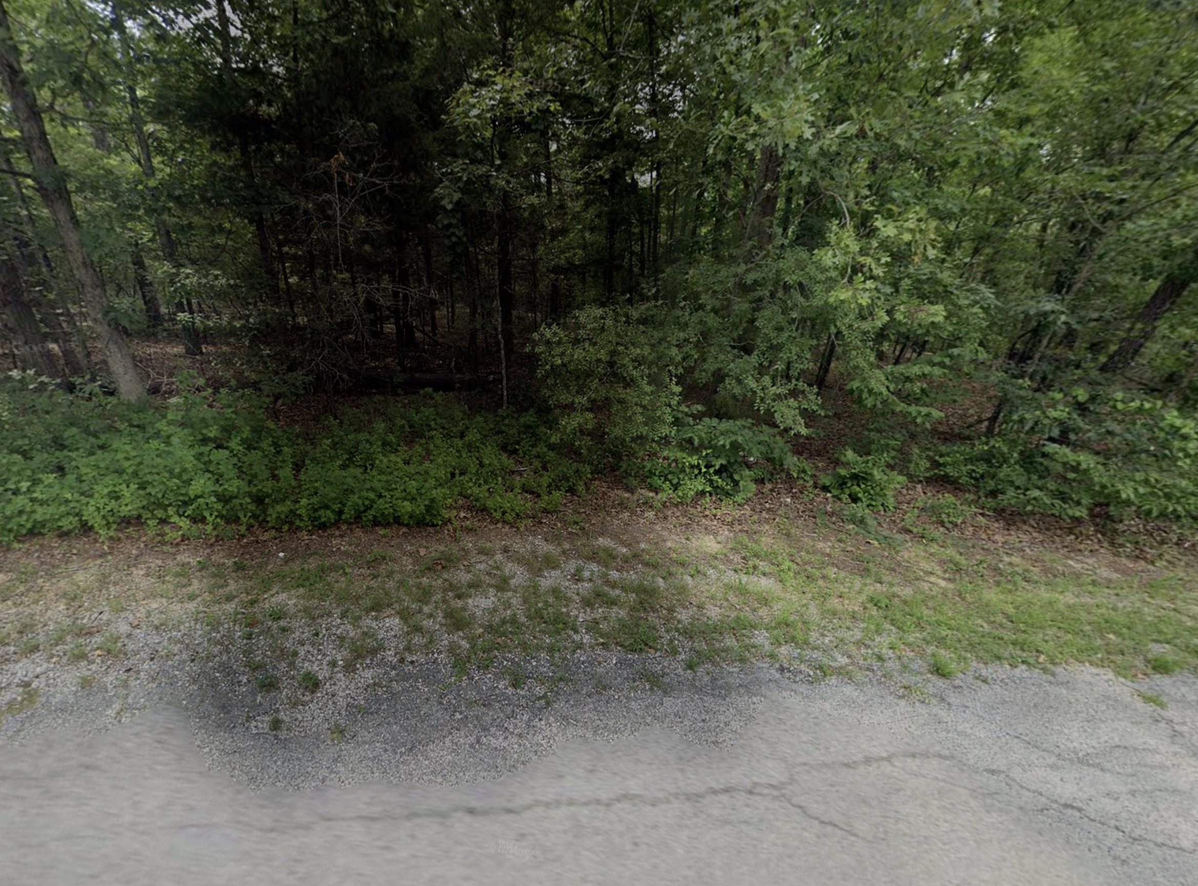 Cherokee Village, AR Area - 0.28acre Resid Lot near Lake Omaha! - photo 1
