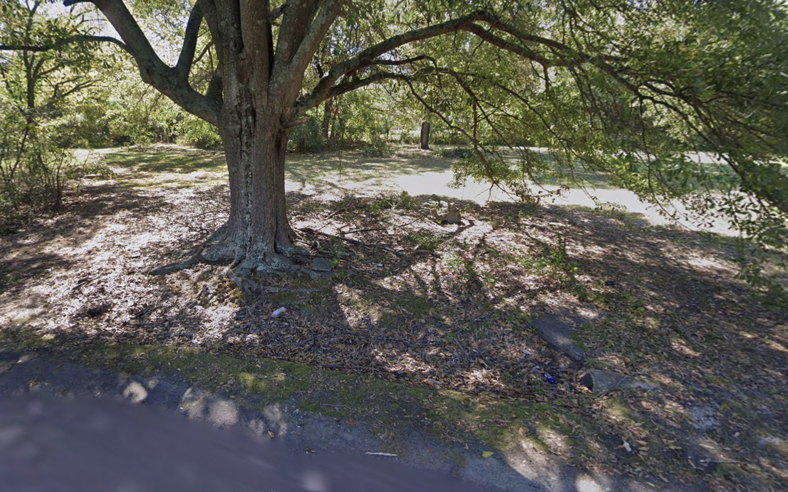 Pine Bluff, AR- 0.11acre Residential Lot near the local University of Arkansas - photo 1