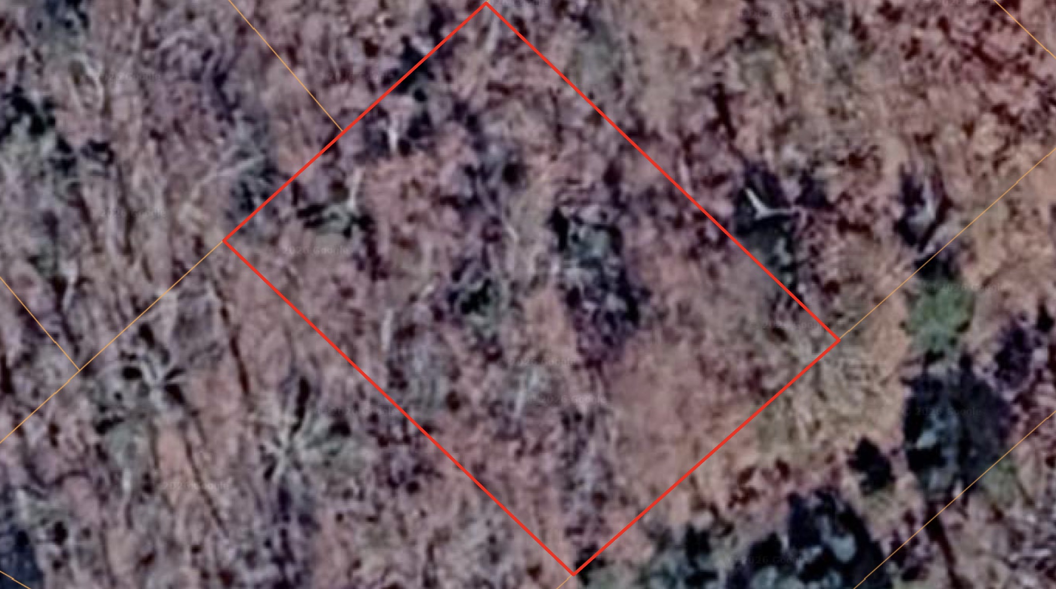Horseshoe Bend - 0.25acre lot very close to Diamond Lake - photo 1