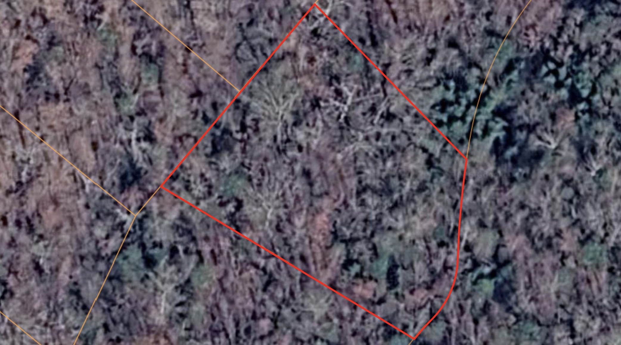 Horseshoe Bend - 0.47acre lot very close to Diamond Lake - photo 1