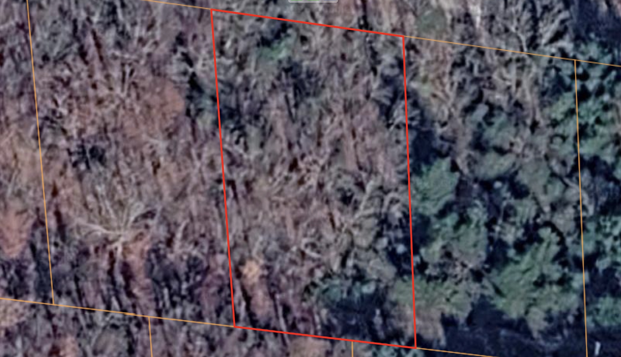 Horseshoe Bend - 0.34acre lot very close to Diamond Lake - photo 1