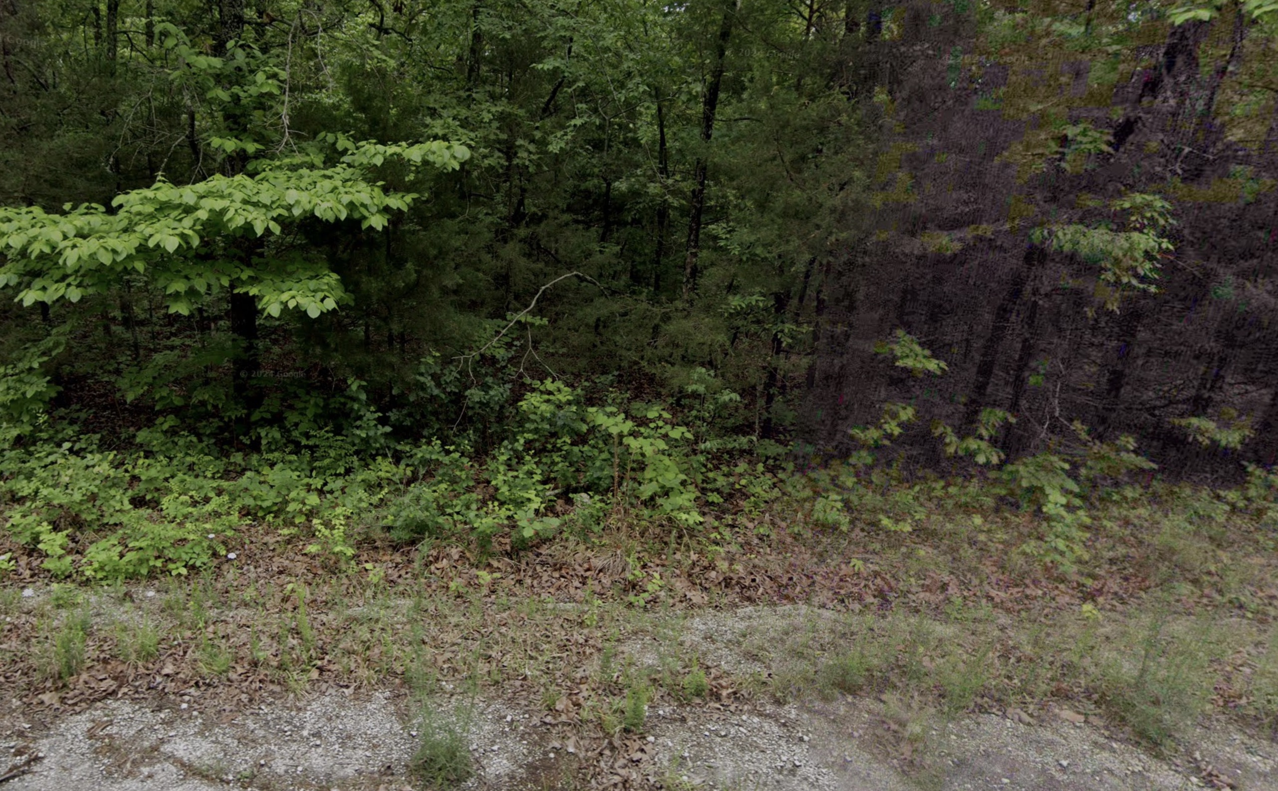 Horseshoe Bend - 0.29acre lot very close to Diamond Lake - photo 1