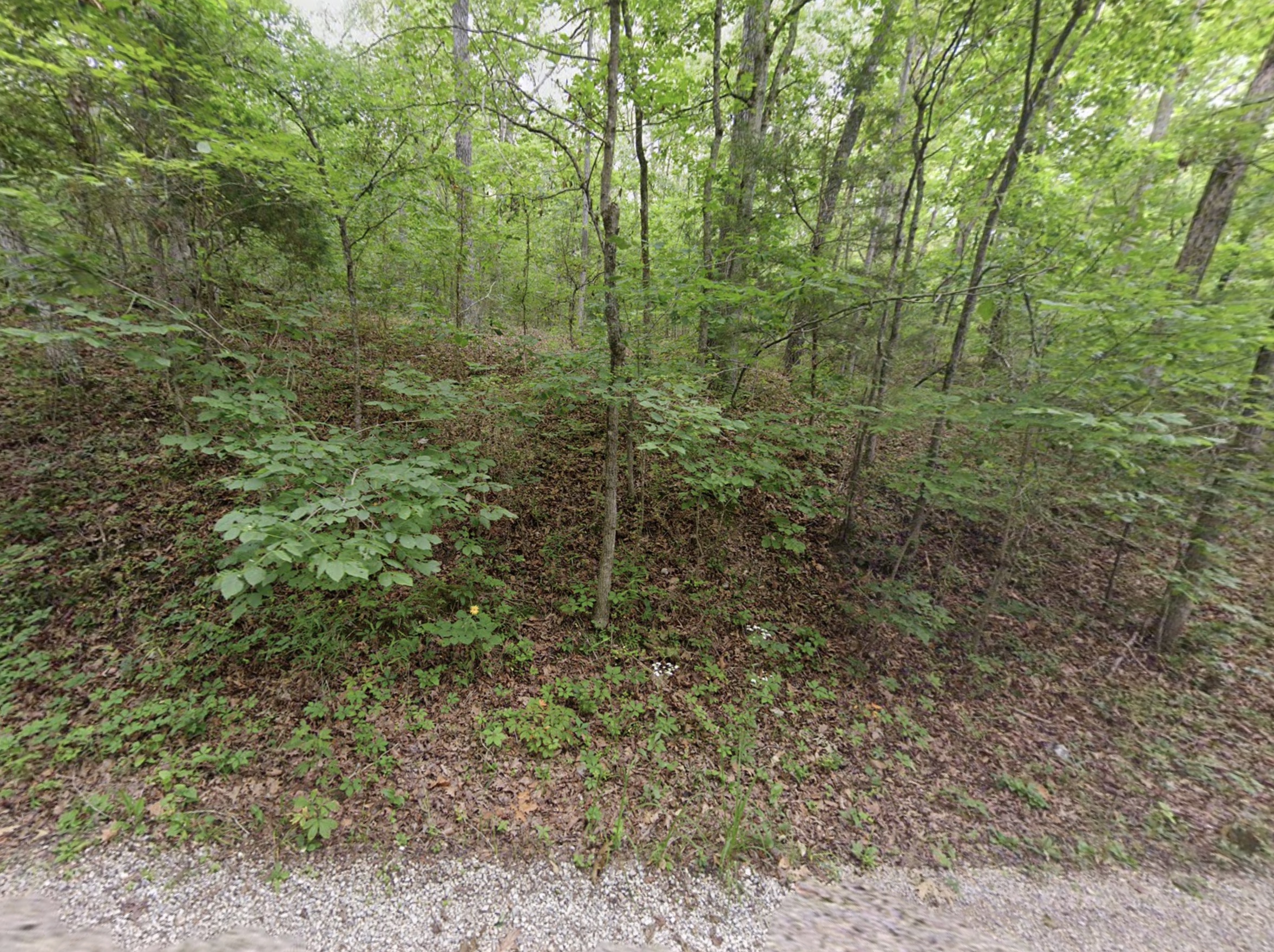 Cherokee Village, AR Area - 0.26acre Resid Lot near Thunderbird Lake! - photo 1