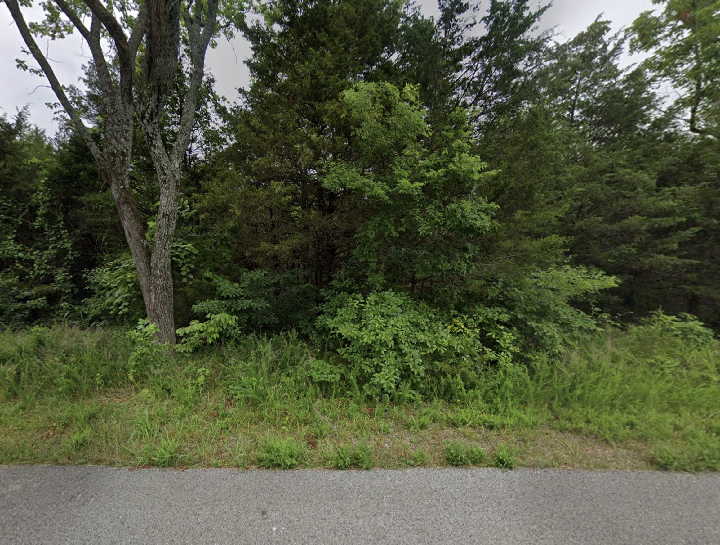 Cherokee Village, AR Area - 0.31acre Resid Lot near Thunderbird Lake! - photo 1