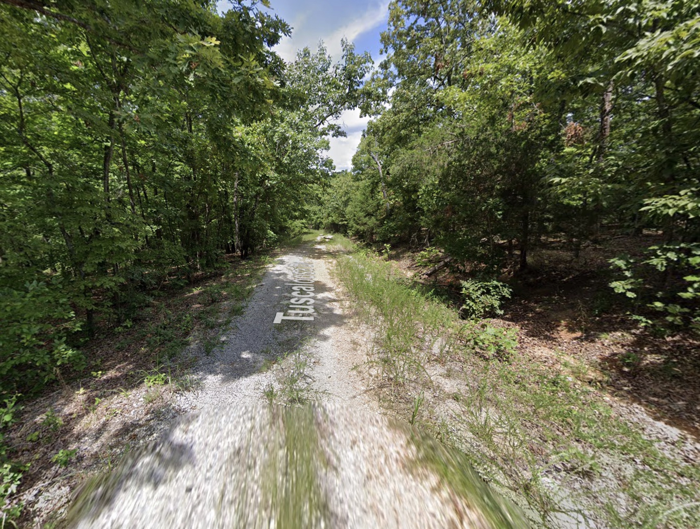Cherokee Village, AR Area - 0.25acre Resid Lot near Lake Omaha! - photo 1