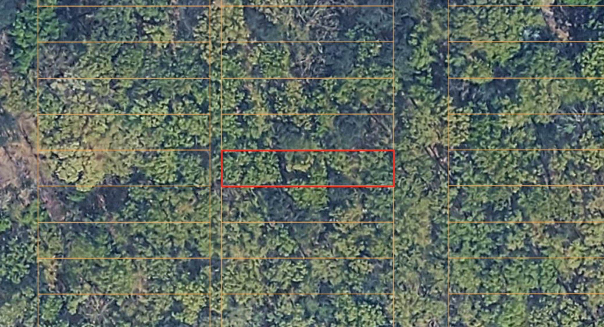 Pine Bluff, AR- Residential Lot near the local University of Arkansas - photo 1