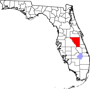 Central Florida Osceola County ~ 1/3 Acre Lot $1 Start No Reserve! - photo 1