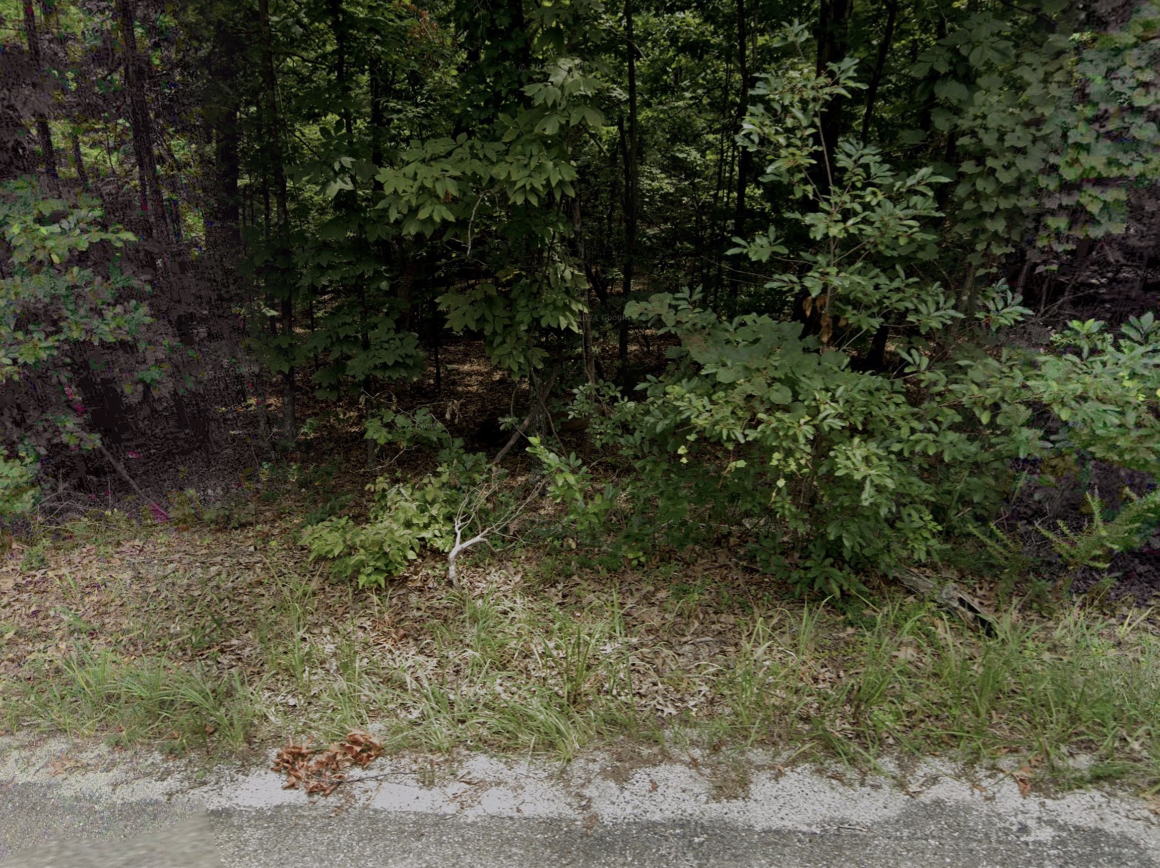 Cherokee Village, AR Area - 0.31acre Resid Lot near Lake Omaha! - photo 1