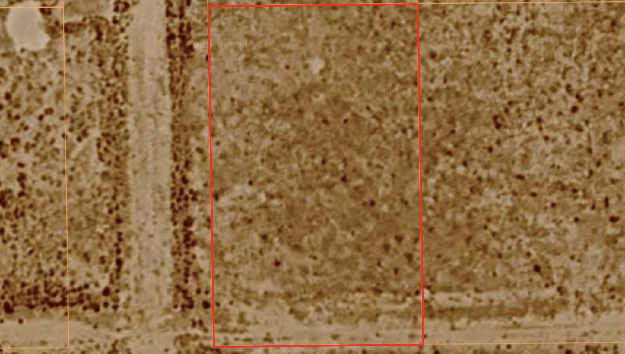 Resid Lot - 0.50acre in Deming, NM, Near Proposed Casino! - photo 1