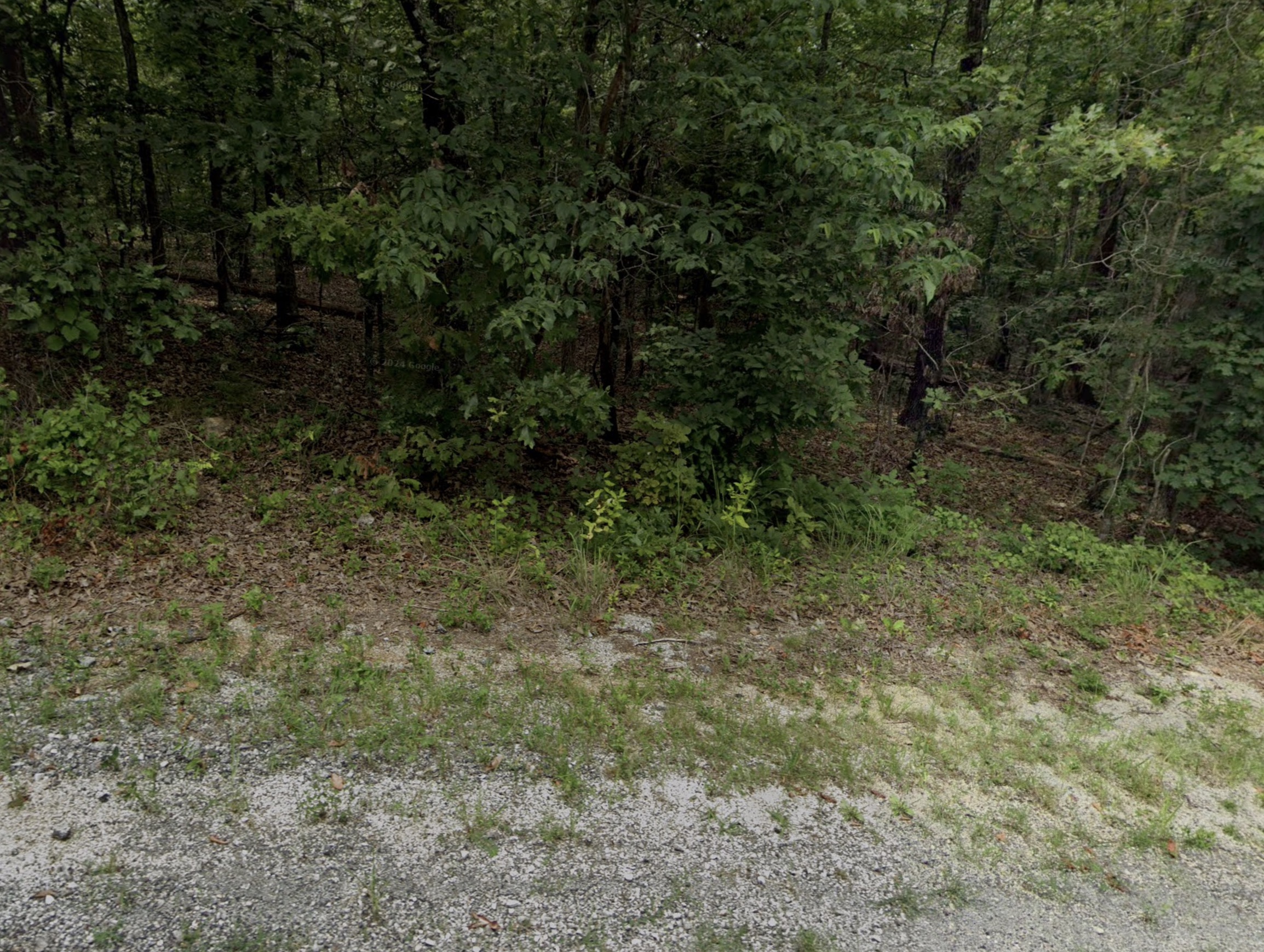 Cherokee Village, AR Area - 0.27acre Resid Lot near Lake Omaha! - photo 1