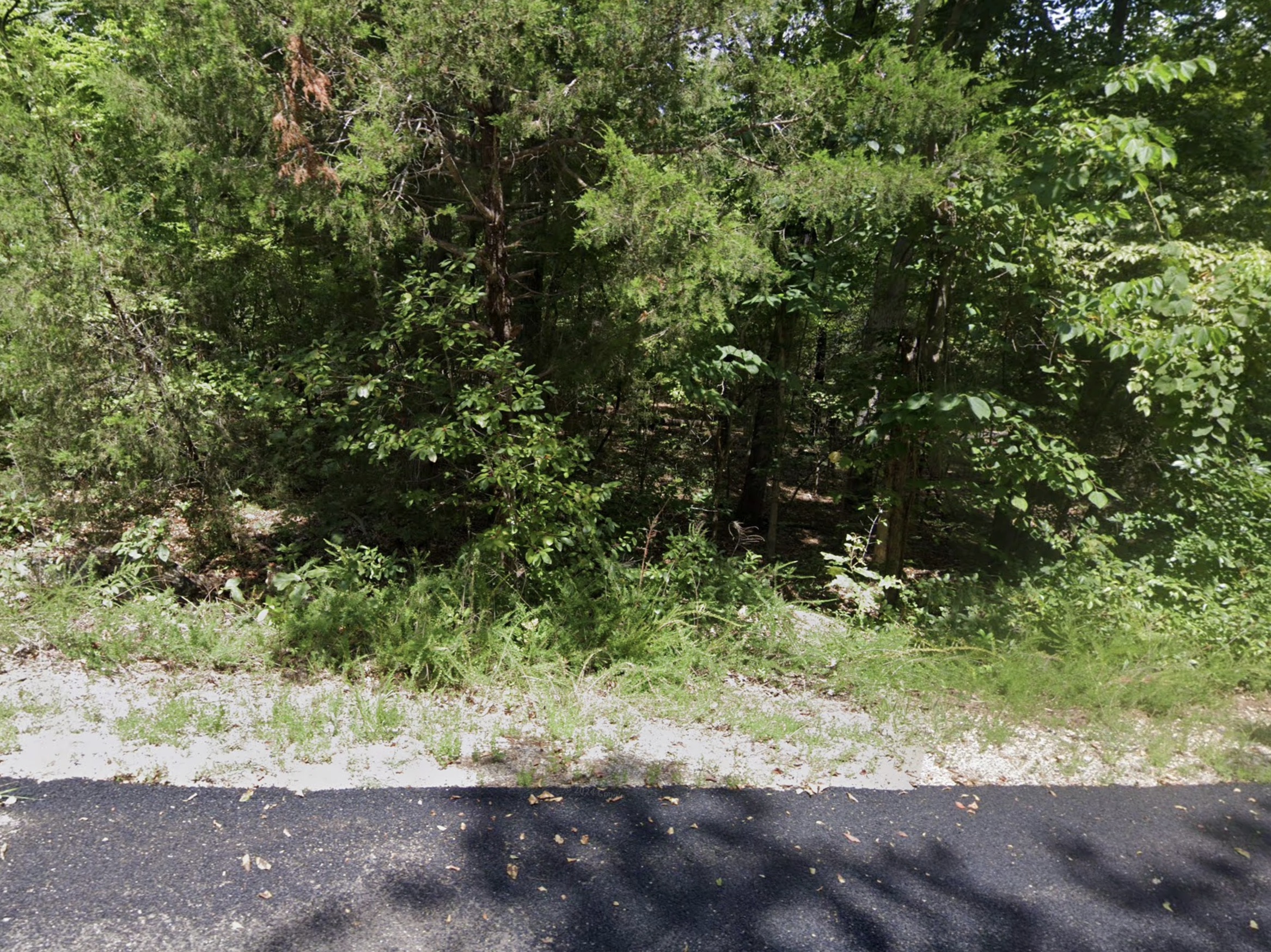 Cherokee Village, AR Area - 0.28acre Resid Lot near Lake Omaha! - photo 1