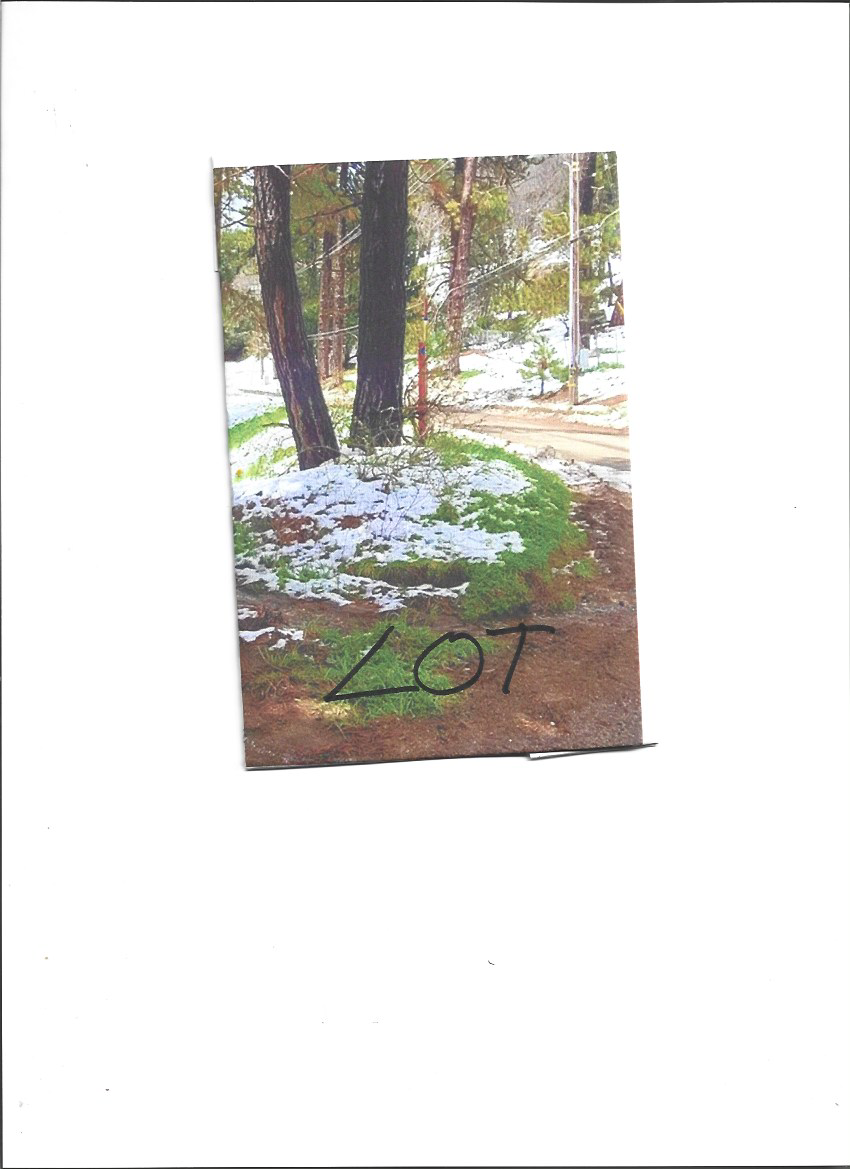 Beautiful Vacant Lot About 5 Miles from Lake Arrowhead, Great Investment Opportunity - photo 1