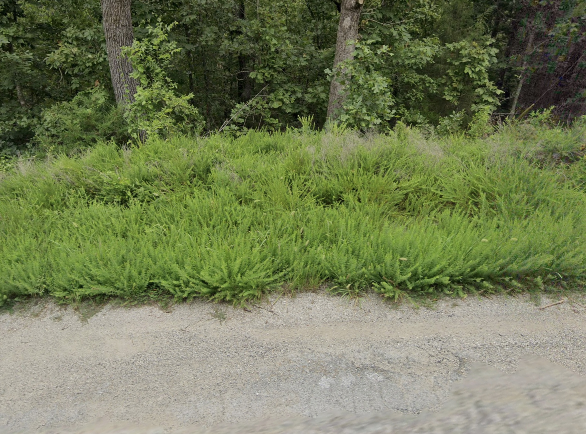 Cherokee Village, AR Area - 0.26acre Resid Lot near Lake Omaha! - photo 1